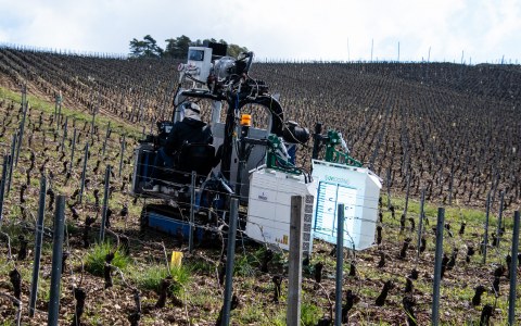 Image Not Found On Media Library