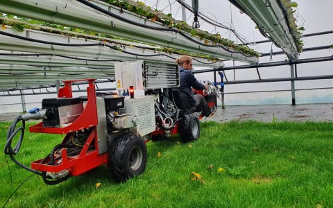 Image Not Found On Media Library