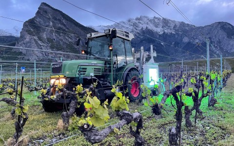 Image Not Found On Media Library