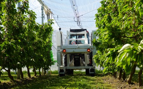 Image Not Found On Media Library